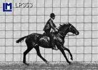 Postcard HORSE RIDER LP353