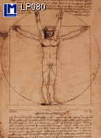 Postcard DA VINCI VITRUVIAN MAN LP080