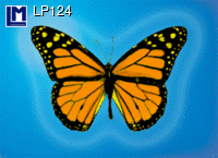 Postcard BUTTERFLY LP124