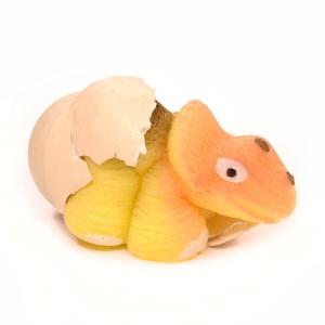 Growing Dinosaur Egg