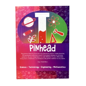 Pin Art